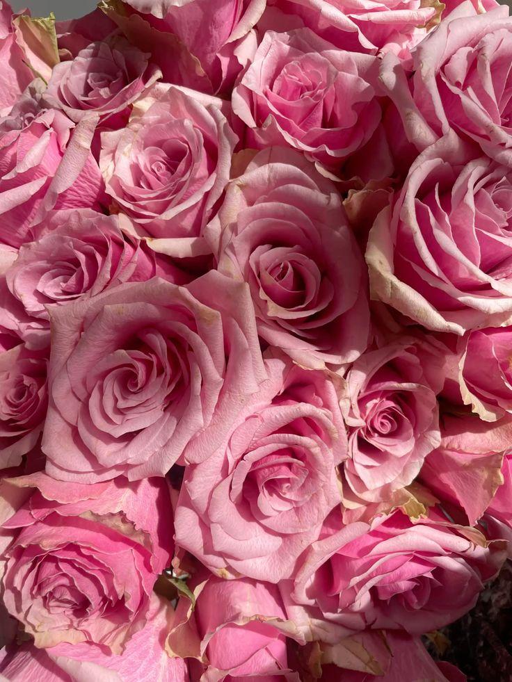 Vintage Melody of Autumn Petals